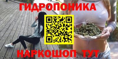 прущие грибы Бузулук