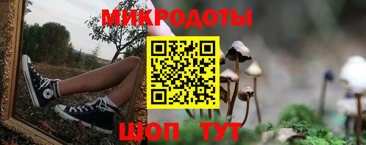 Махачкала  Галлюциногенные грибы Psilocybine cubensis  Вход с VPN 